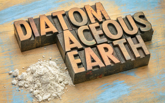 Diatomaceous Earth