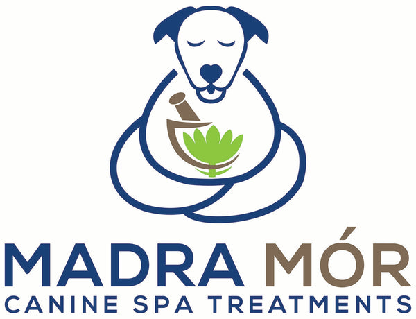 Madra Mór Canine Spa Treatments